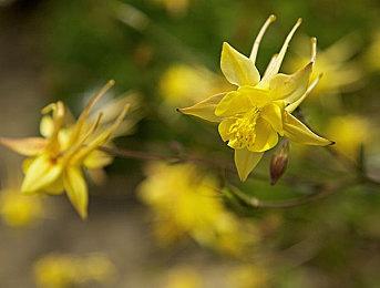 《极限竞速：地平线5》预热